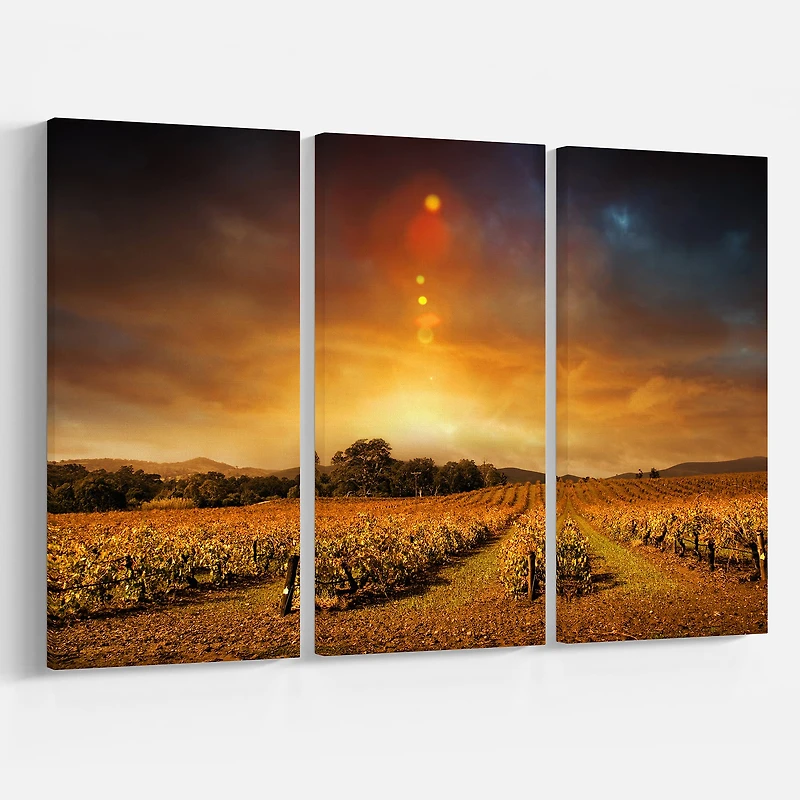 Designart - Yellow Autumn Vineyard Sunset