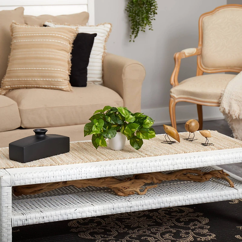 9" Variegated Pothos Plant in Decorative White Planter