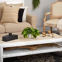 9" Variegated Pothos Plant in Decorative White Planter