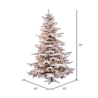 6.5ft. Pre-Lit Flocked Sierra Fir Artificial Christmas Tree, Clear Lights