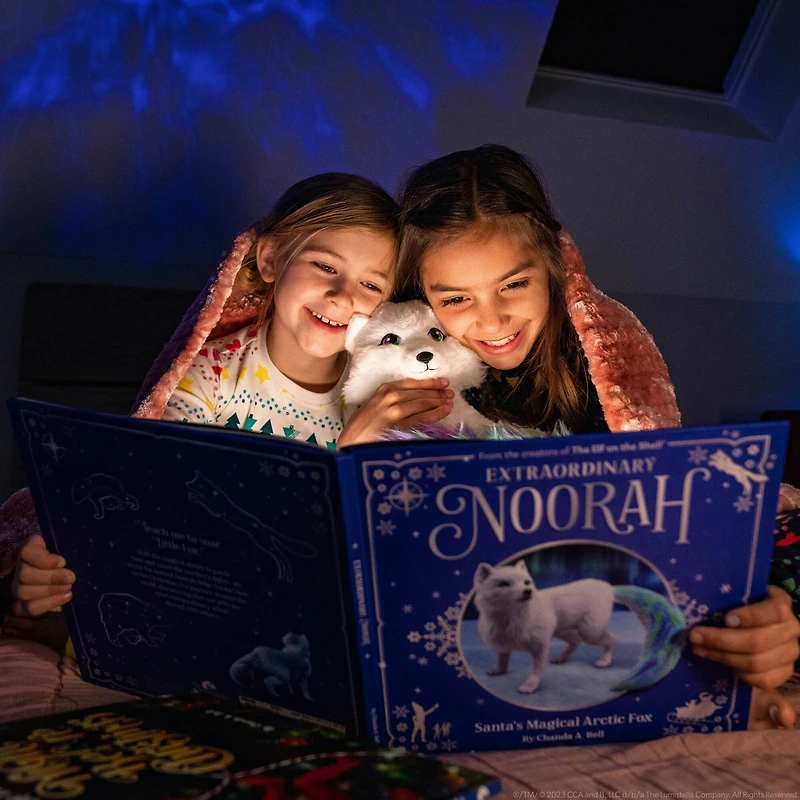 Extraordinary Noorah: Santa's Magical Arctic Fox