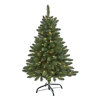 4ft. Pre-Lit Northern Rocky Spruce Artificial Christmas Tree, Clear LED Lights