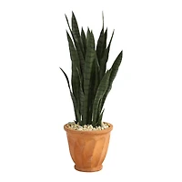 2.5ft. Snake Plant in Terra Cotta Planter