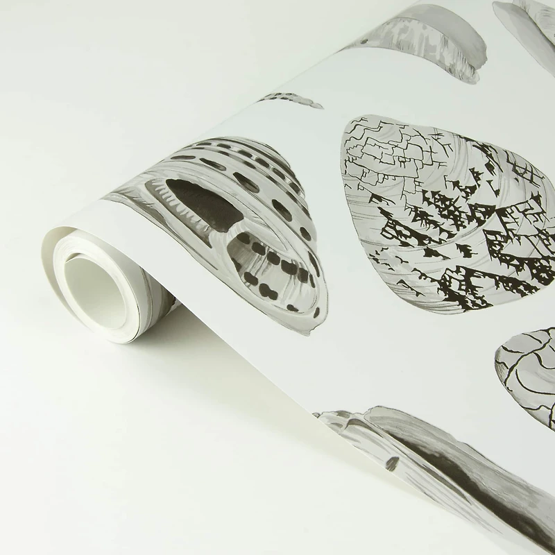 Scalamandre Graphite Coquina Peel & Stick Wallpaper