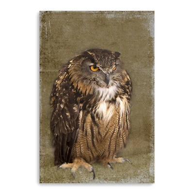 Grumpy Owl Canvas Giclee