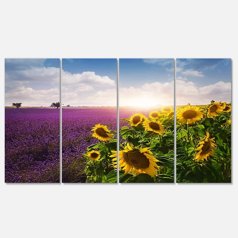 Designart - Lavender and Sunflower Fields
