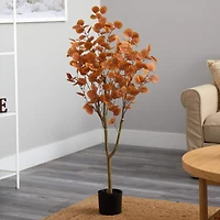 4ft. Potted Autumn Eucalyptus Tree