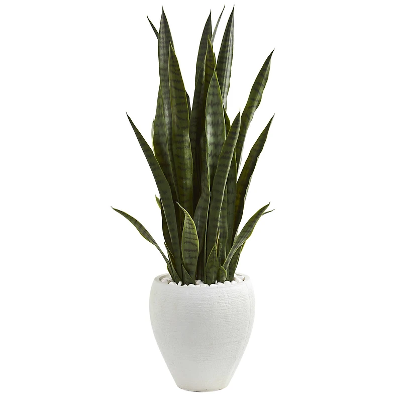 3.5ft. Snake Plant in White Planter