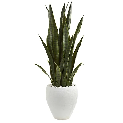 3.5ft. Snake Plant in White Planter