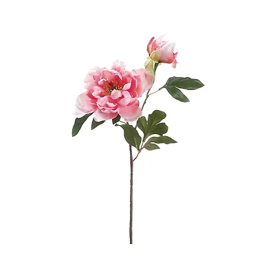 24 Pack: Pink Peony Stem with Bud