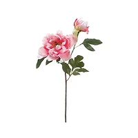 24 Pack: Pink Peony Stem with Bud