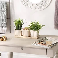 Square Ceramic Small Planter Set