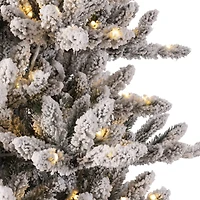 7.5ft. Pre-Lit Fir Artificial Christmas Tree, Warm White LED Lights