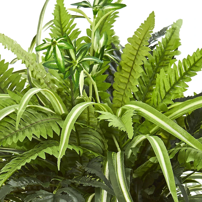 23" Mixed Leaf & Fern Plant in Terra Cotta Planter