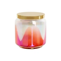 12oz. Gold Lid Scented Jar Candle by Ashland