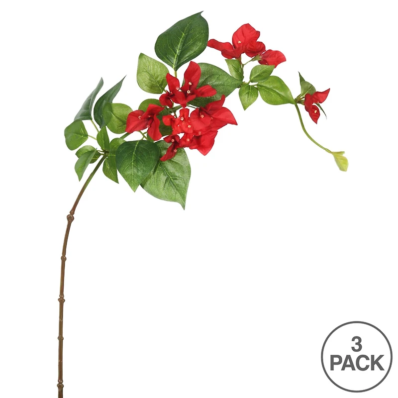 Red Bougainvillea Stem, 3ct.