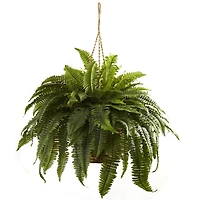 2.5ft. Double Boston Fern Hanging Basket