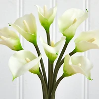16" Classic Calla Lily Arrangement in Vase