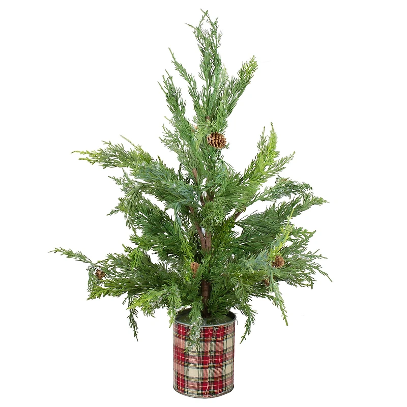 24" Unlit Iced Cedar Artificial Potted Christmas Tree