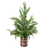 24" Unlit Iced Cedar Artificial Potted Christmas Tree