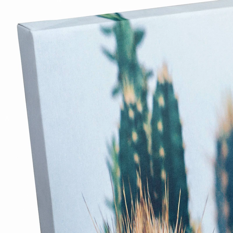 Cacti Garden 20" x 16" Canvas Wall Art