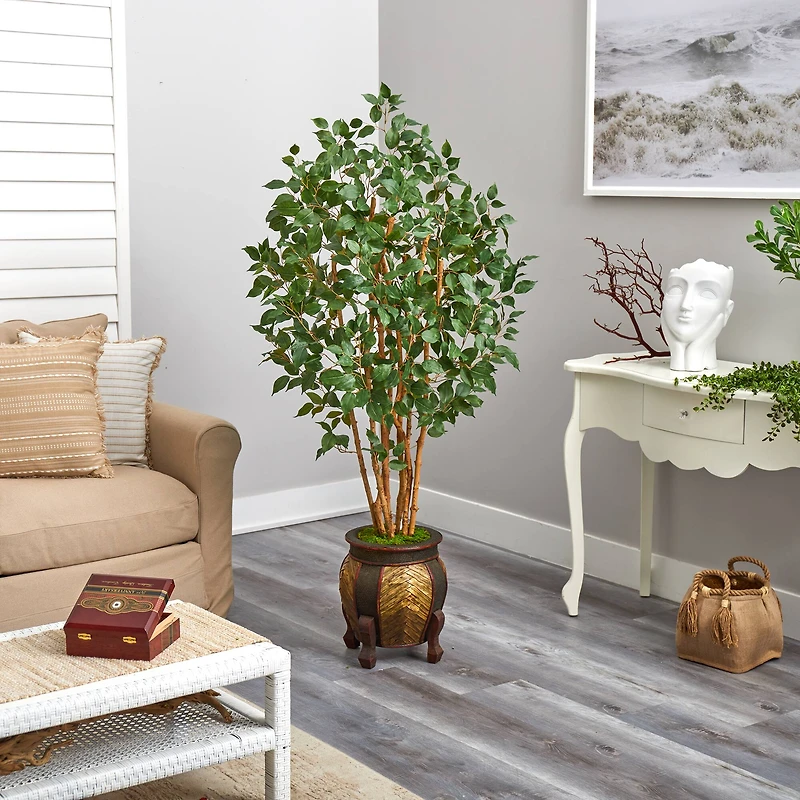 5.5ft. Bushy Ficus Tree in Decorative Planter