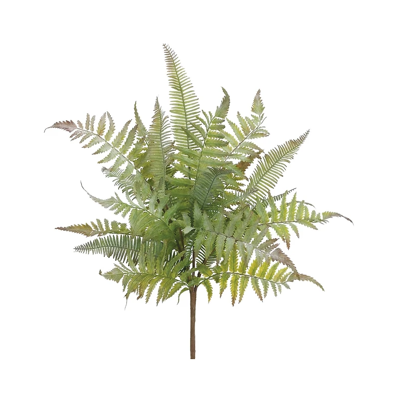 Mixed Fern Bush