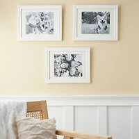 3 Pack Lifestyles 8" x 10" White Frames With Mat by Studio Décor®