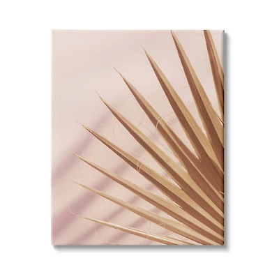 Stupell Industries Palm Frond Photograph Expressive Tropical Plant Sun Bleached Canvas Wall Art