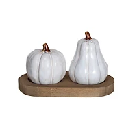 Hello Honey® White & Natural Stoneware Pumpkin Salt & Pepper Shaker Set