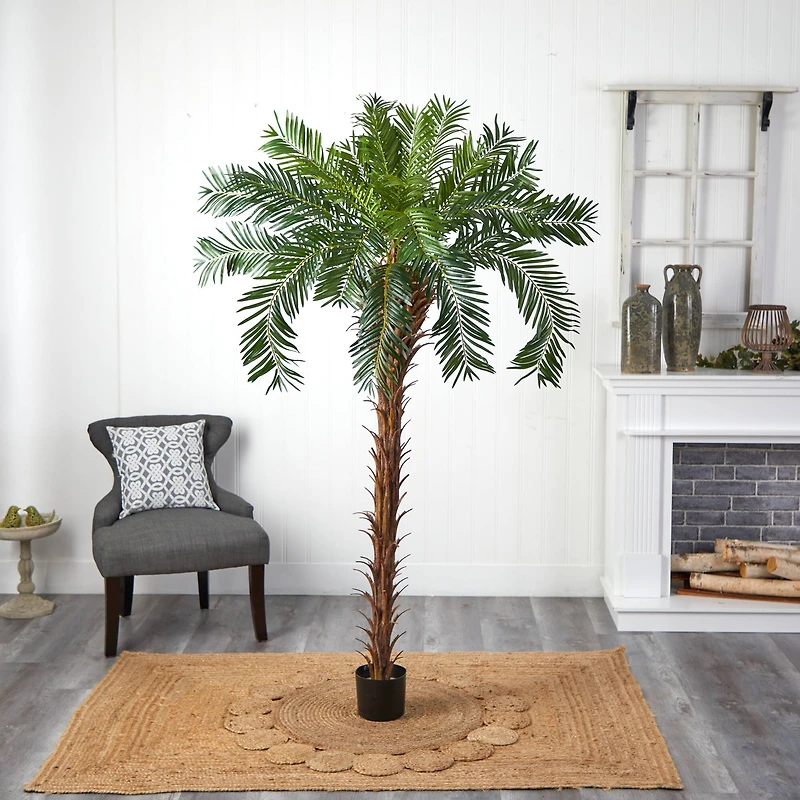 7ft. Potted Cycas Palm Tree