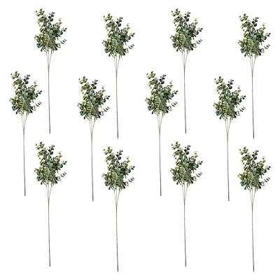 12 Pack: Green Eucalyptus Stem by Ashland®