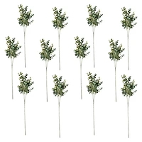 12 Pack: Green Eucalyptus Stem by Ashland®