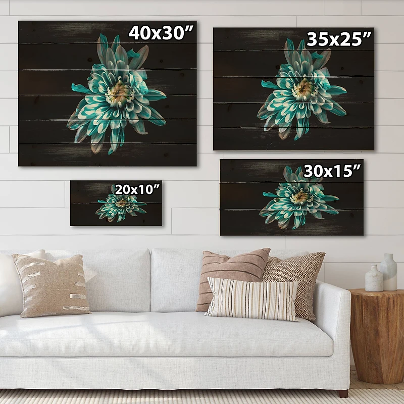 Designart - Top View of Blue and White Flower