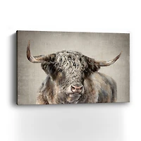 Lumaprints Grand Kyloe Bull Canvas Wall Art