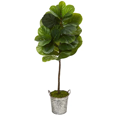 4ft. Fiddle Leaf Tree in Vintage Metal Pail