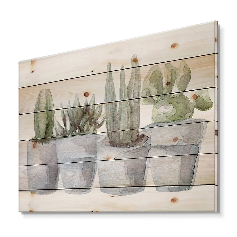 Designart - Cactus and Succulent House Plants V