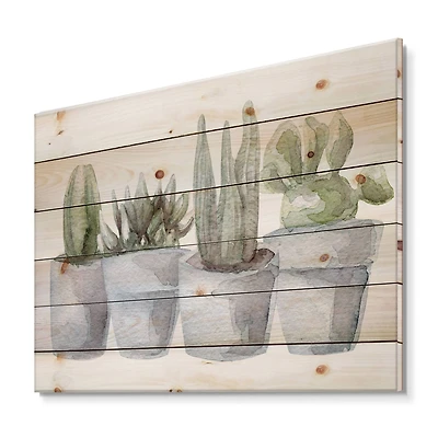 Designart - Cactus and Succulent House Plants V