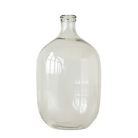 Hello Honey® 19'' Decorative Glass Bottle