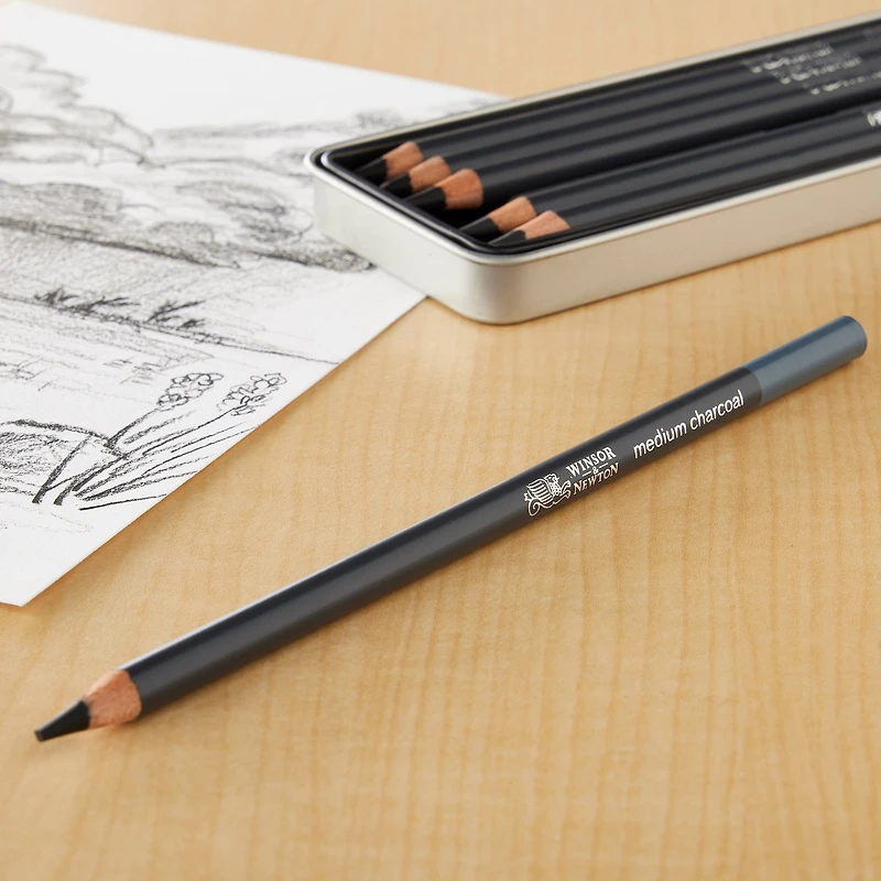 Winsor & Newton™ Studio Collection™ Charcoal Pencil 6 Piece Tin Set