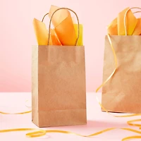 Kraft Small Gift Bags by Celebrate It™