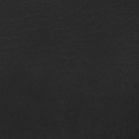 Floridian Black Vinyl