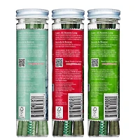 Scentsicles Scented Ornament Stick White Winter Fir, Snowberry Pine and Icicles on Spruce Sticks, 3 Pack of 6