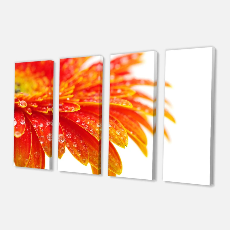 Designart - Orange Gerbera with Raindrops