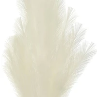 42" Cream Pampas Grass Stem by Ashland®