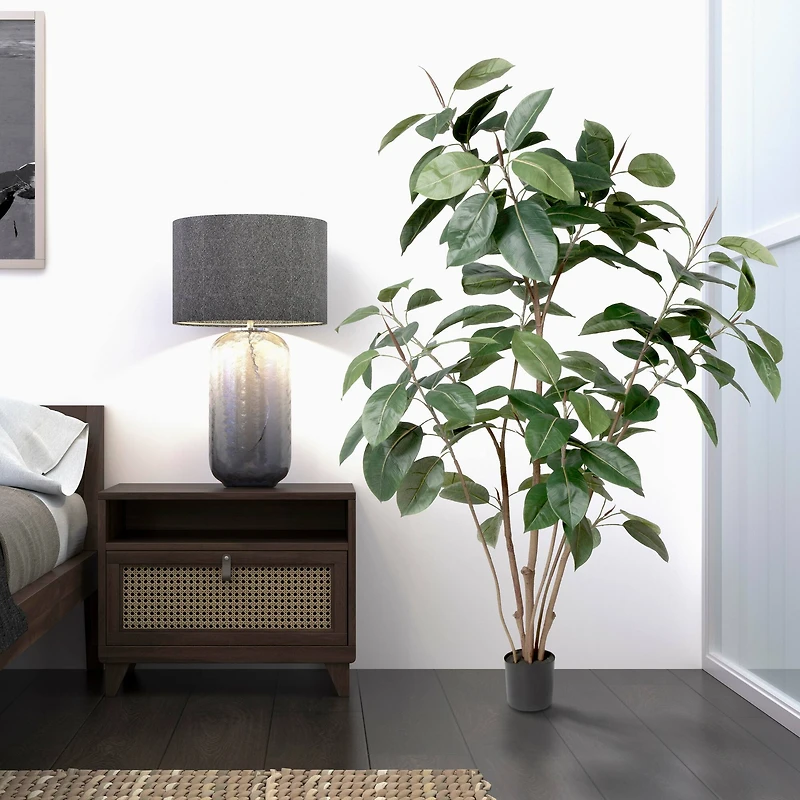 5ft. Potted Green Rubber Tree