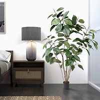 5ft. Potted Green Rubber Tree