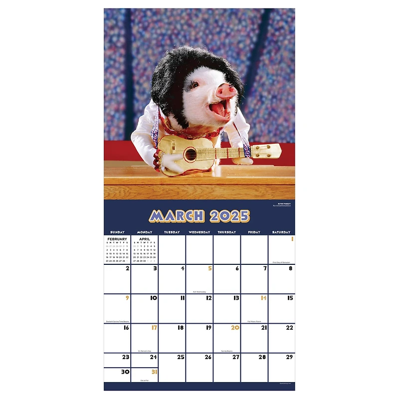 TF Publishing 2025 Playful Pigs Wall Calendar