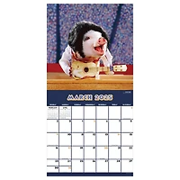TF Publishing 2025 Playful Pigs Wall Calendar
