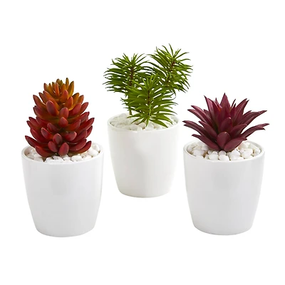 10" Mixed Succulent Plants in White Vases Set